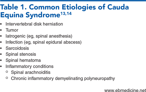 Table 1. Common Etiologies of Cauda Equina Syndrome