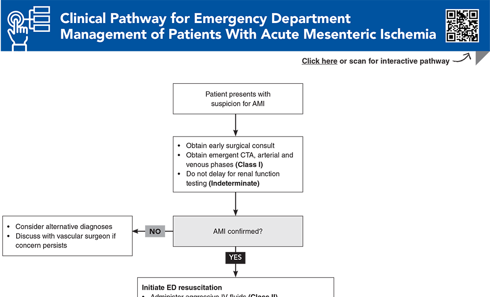Clinical Pathway for Emergency Department Management of Patients With Acute Mesenteric Ischemia