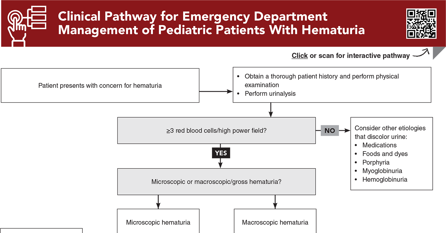Clinical Pathway for Emergency Department Management of Pediatric Patients With Hematuria