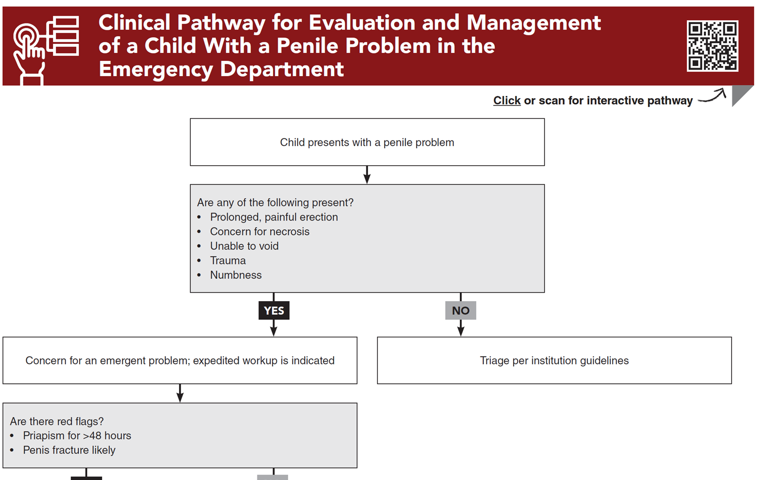 Clinical Pathway for Evaluation and Management of a Child With a Penile Problem in the Emergency Department