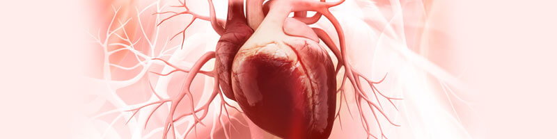 Right heart failure image