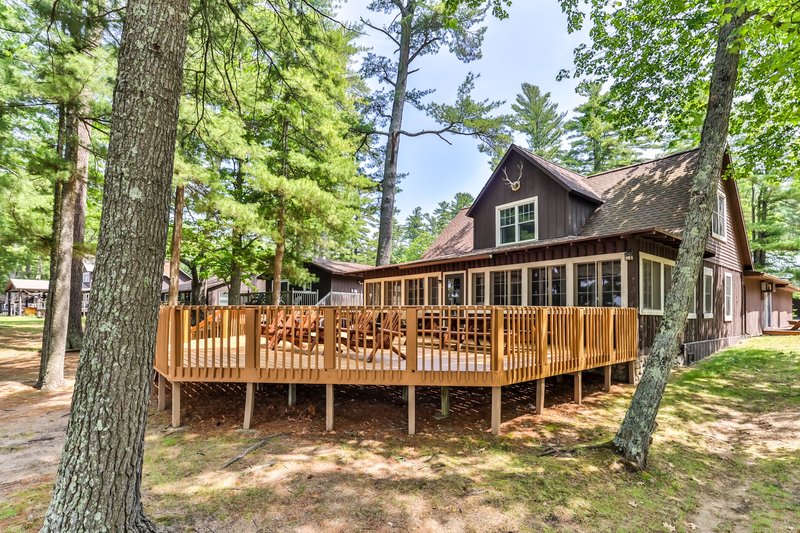 BallyPines