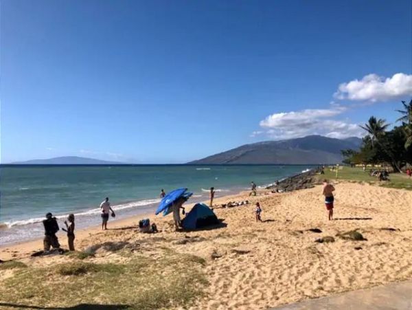 Kihei Two Bedroom Vacation Condo Sleeps Six Walk To Beach