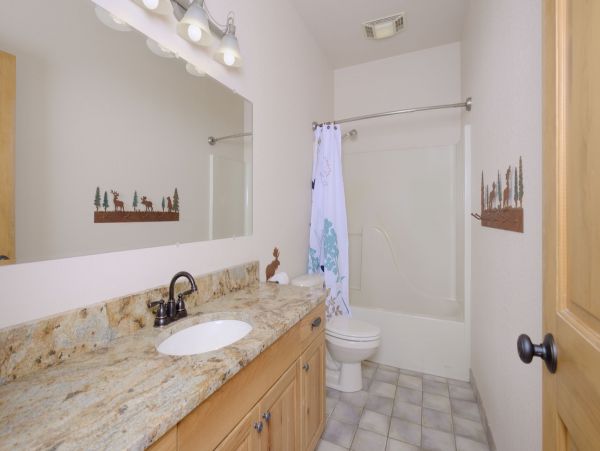 Big Sky Home 1000037