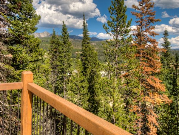 Big Sky Home 1000053