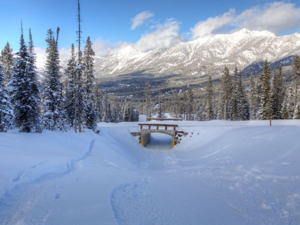 Big Sky Home 1000147