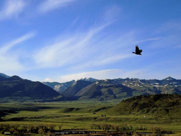 Big Sky Home 1000153