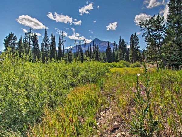 Big Sky Home 1000169
