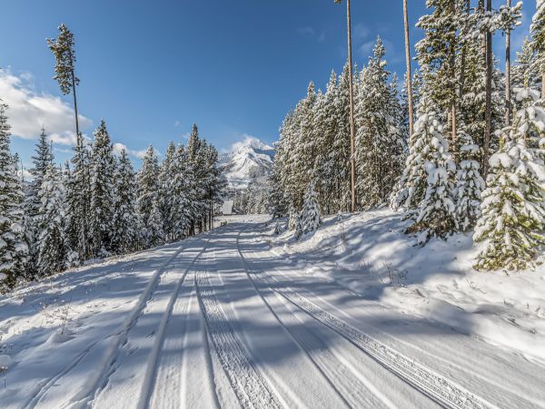 Custom built Log Home Ski in Ski out 15 min to Mountain Village