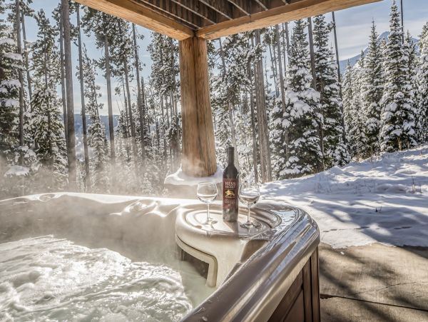 Custom built Log Home Ski in Ski out 15 min to Mountain Village