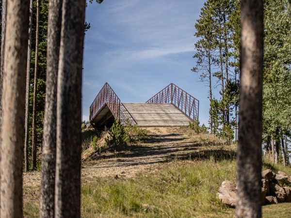 Big Sky Home 1000183