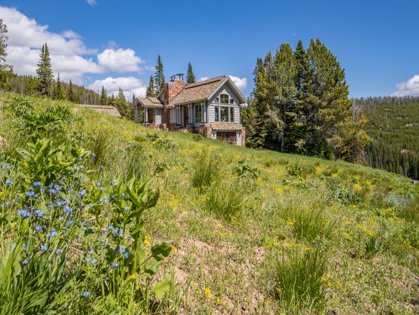 Big Sky Home 1000187