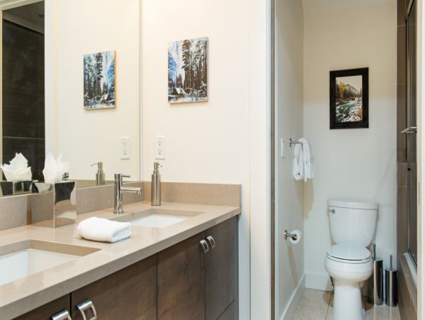 Big Sky Home 1000188