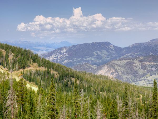 Big Sky Home 1000194
