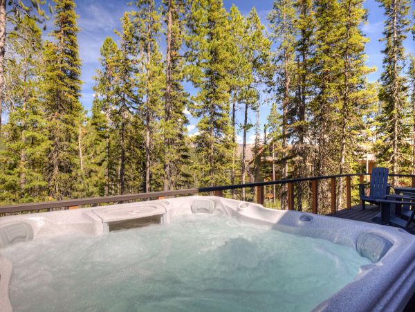 Big Sky Home 1000201
