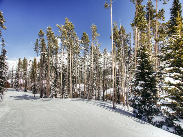 Big Sky Home 1000206