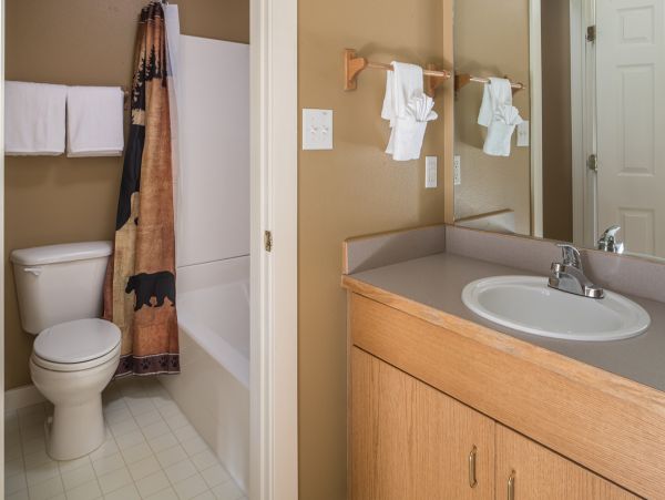 Big Sky Home 1000213