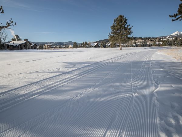 Big Sky Home 1000216