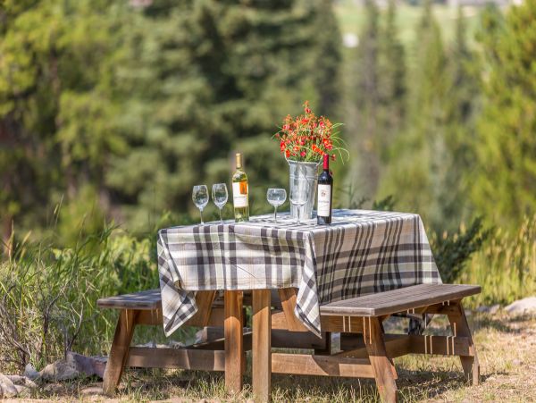 Big Sky Home 1000217