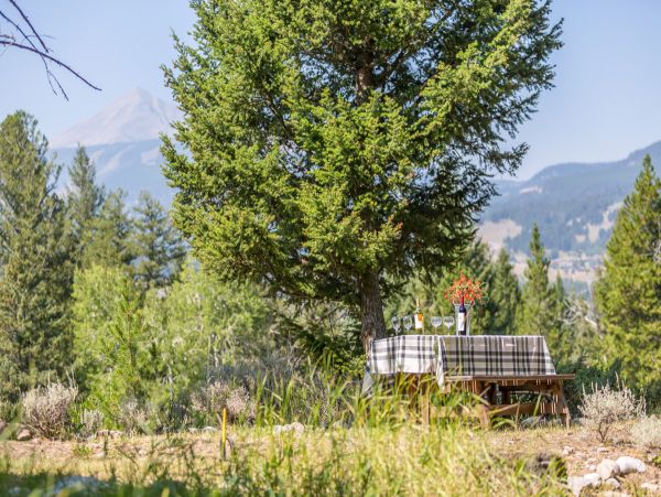 Big Sky Home 1000217