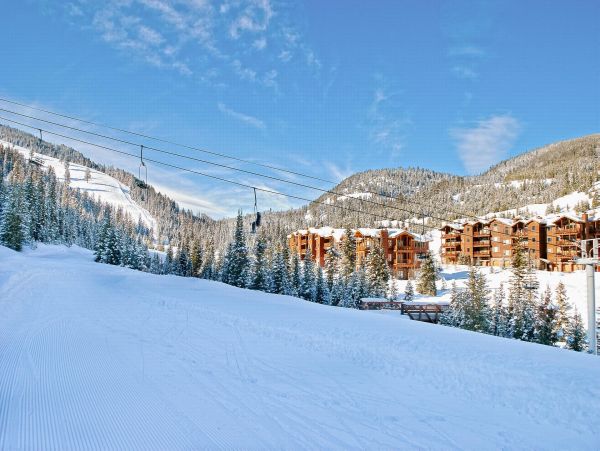Big Sky Home 1000218