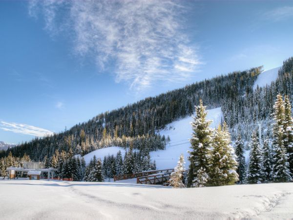 Big Sky Home 1000218