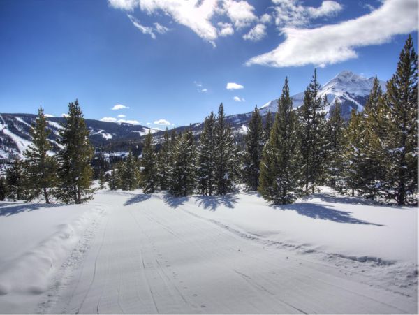Big Sky Home 1000220