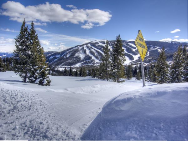 Big Sky Home 1000220