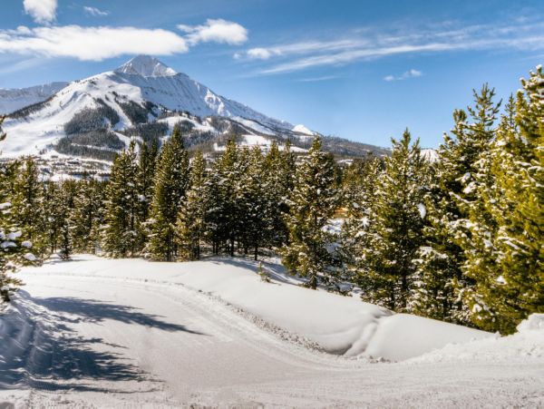 Big Sky Home 1000221