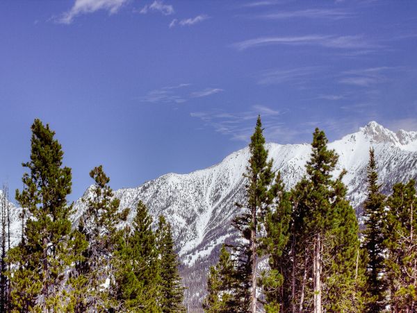 Big Sky Home 1000222