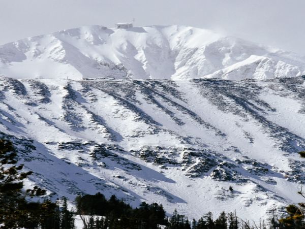 Big Sky Home 1000222