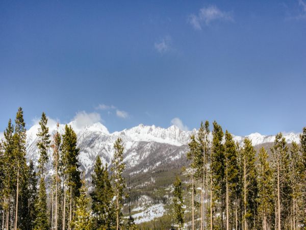 Big Sky Home 1000223
