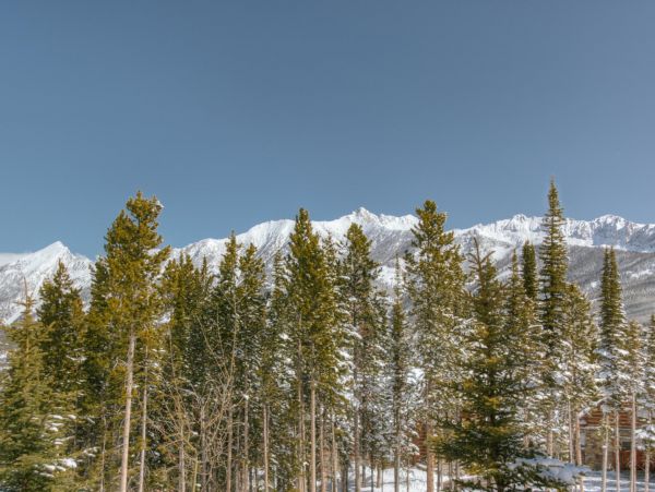 Big Sky Home 1000227