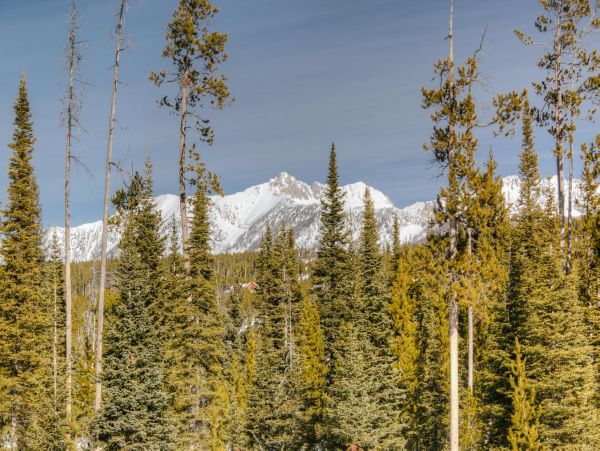 Big Sky Home 1000235