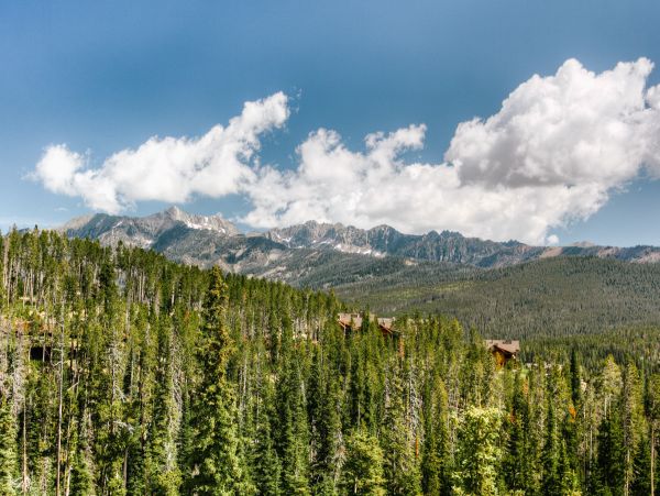 Big Sky Home 1000236
