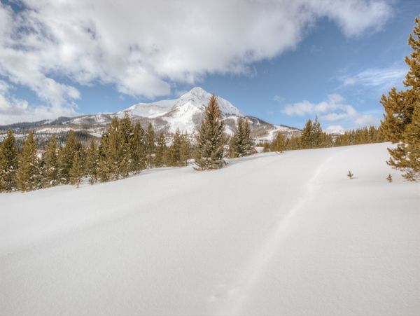 Big Sky Home 1000249