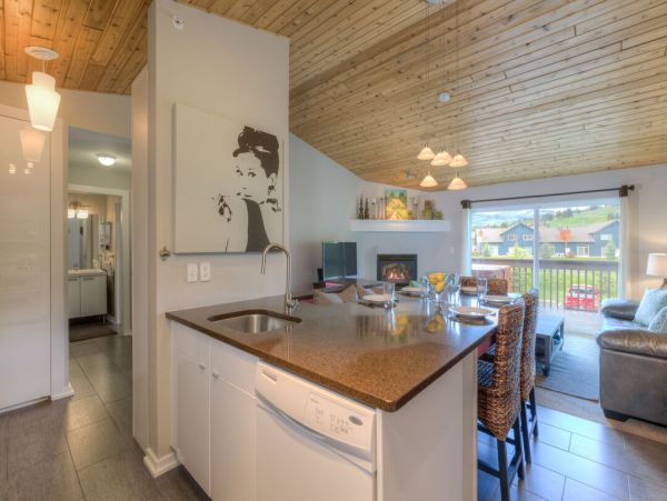 Big Sky Home 1000283