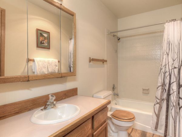 Big Sky Home 1000312
