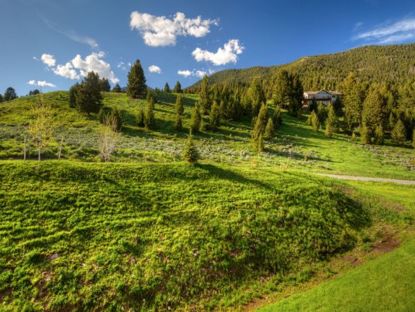 Big Sky Home 1000342