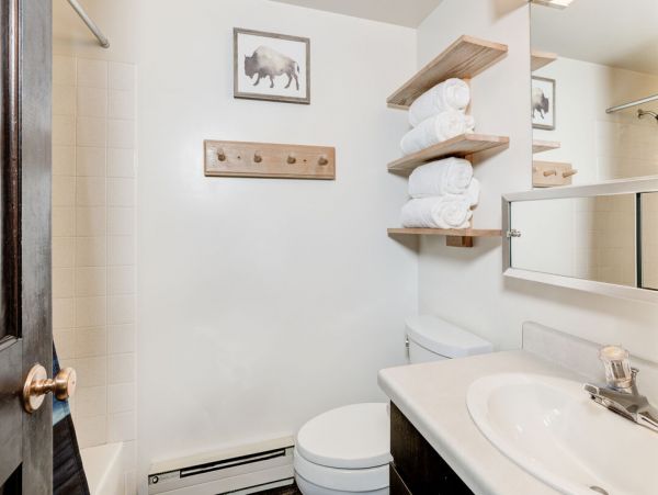 Big Sky Home 1000355