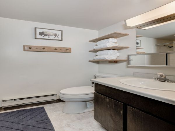 Big Sky Home 1000355