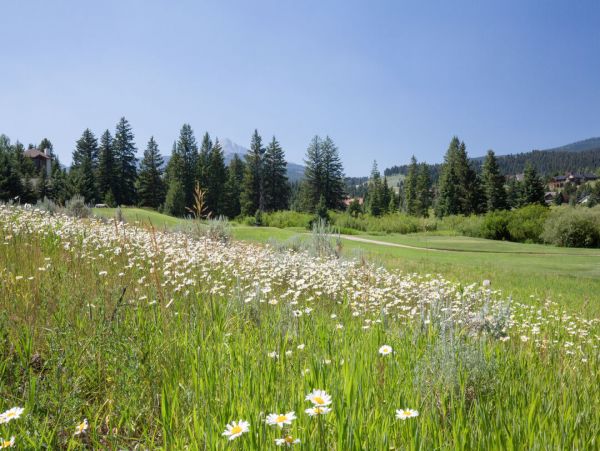 Big Sky Home 1000355