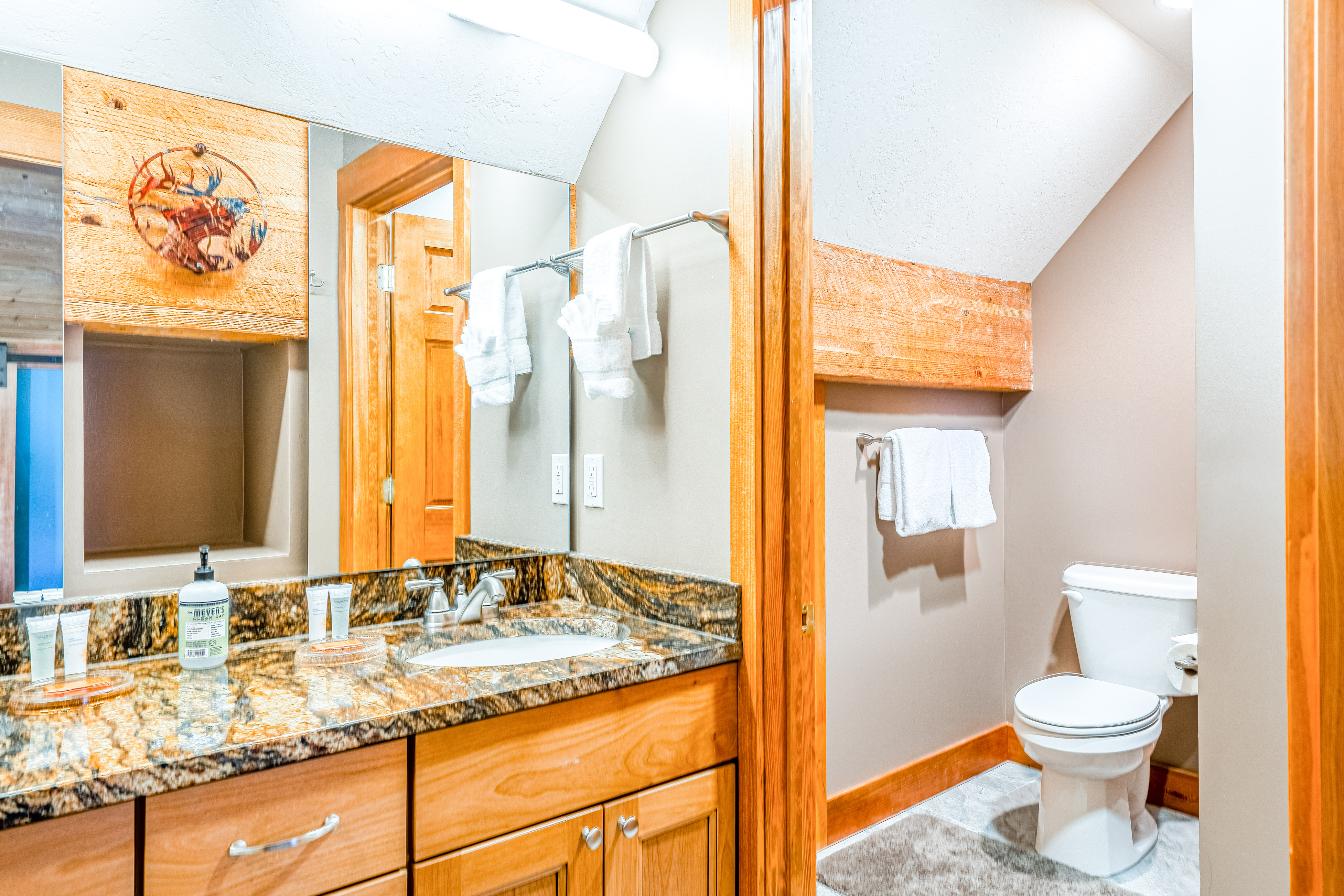 Big Sky Home 1000368