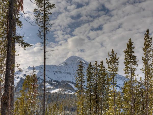 Big Sky Home 1000372