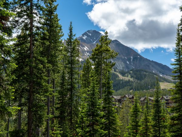 Big Sky Home 1000374