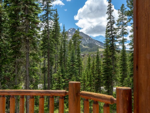 Big Sky Home 1000374