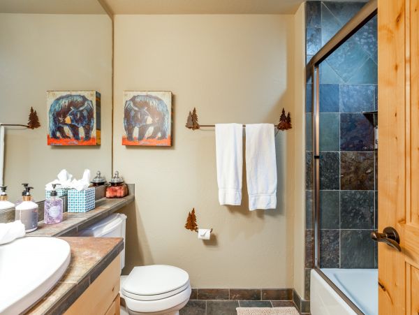 Big Sky Home 1000379