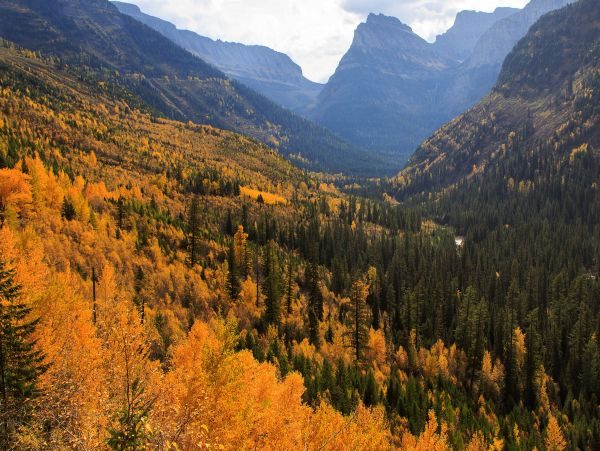 Big Sky Home 1000380