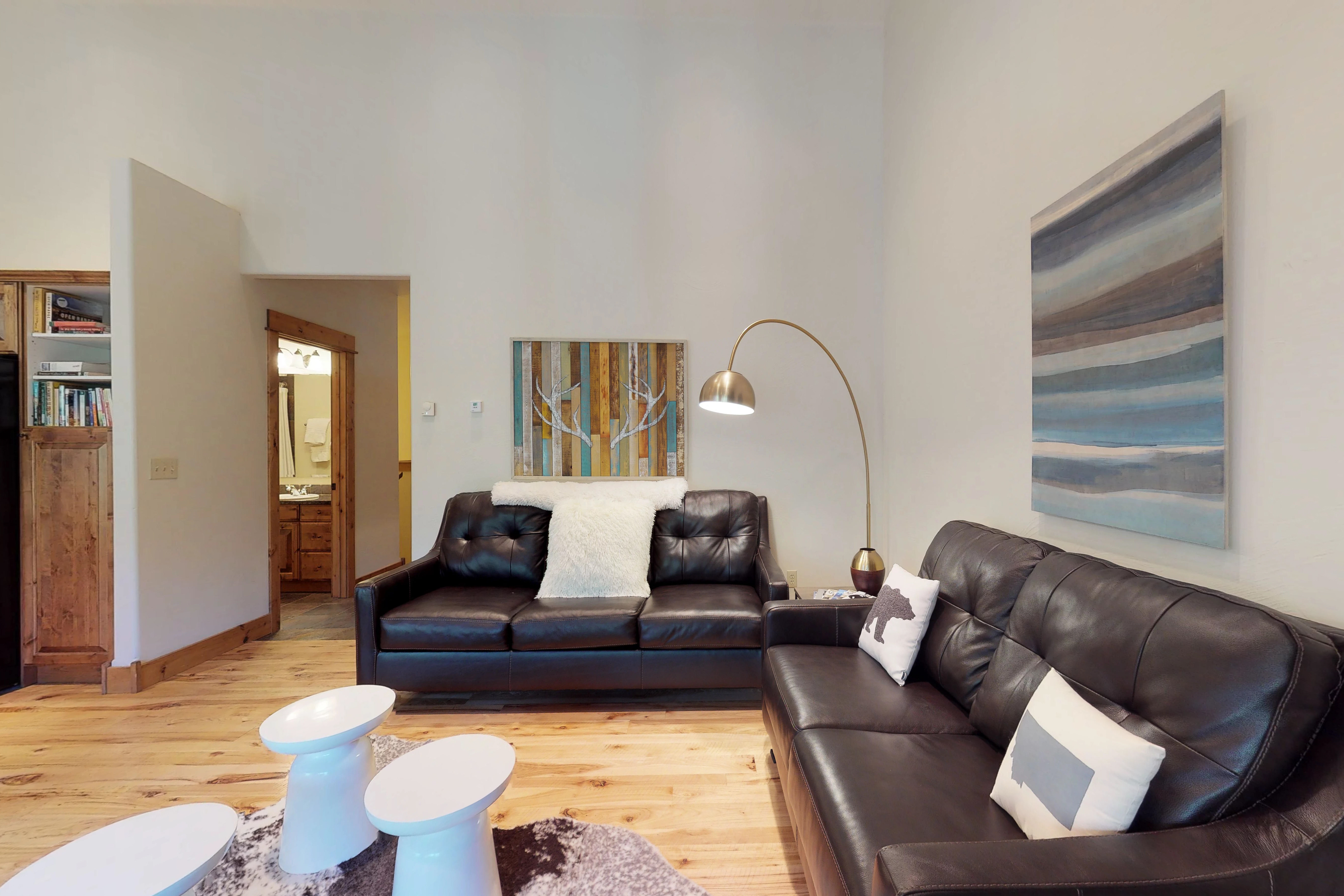 Big Sky Home 1000394