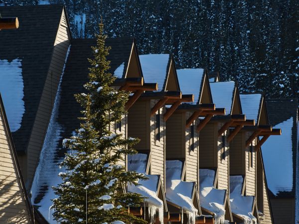 Big Sky Home 1000395